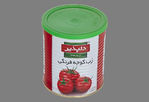 خرید و قیمت رب گوجه دلپذیر + فروش صادراتی